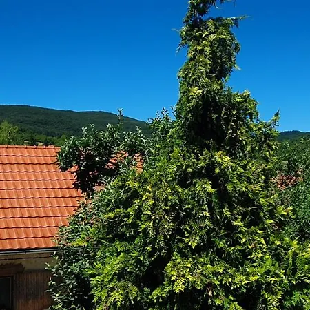 Casa rural Terezia *